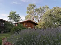 Warm wooden chalet - LA BUTTE BLANCHE