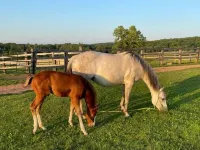 Ranch get away