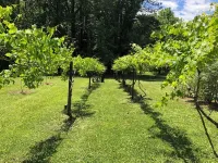 Beautiful Farmhouse near Atlanta Airport!