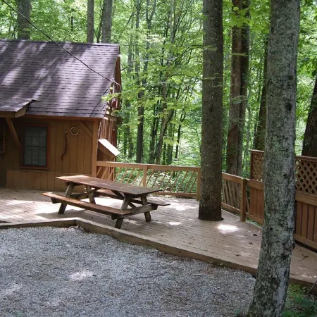 Rustic Mountain Retreat-Bear Paw