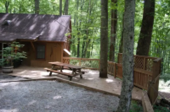 Rustic Mountain Retreat-Bear Paw