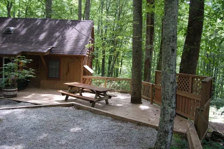 Rustic Mountain Retreat-Bear Paw