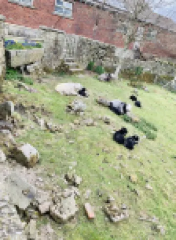 One bed Detached Converted Barn With Panoramic Views of the Wharf & Aire Valley