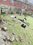 One bed Detached Converted Barn With Panoramic Views of the Wharf & Aire Valley Các khách sạn gần Keighley Library