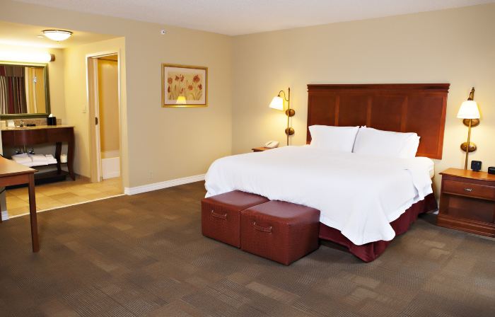 Hampton Inn Martin