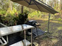 Cozy cabin under majestic banyan tree Hotels near Hawaiʻi Volcanoes National Park