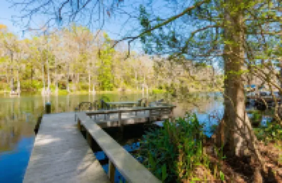 Breathtaking Rainbow River single family home