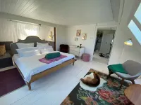 Artist Kate Villa Lilia - Living under the roof