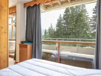 V du Bachat Silene D Hotels in Chamrousse