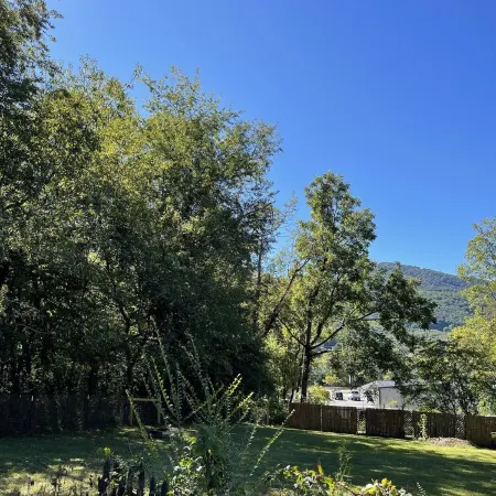 Black Mt home, minutes to downtown, fenced yard
