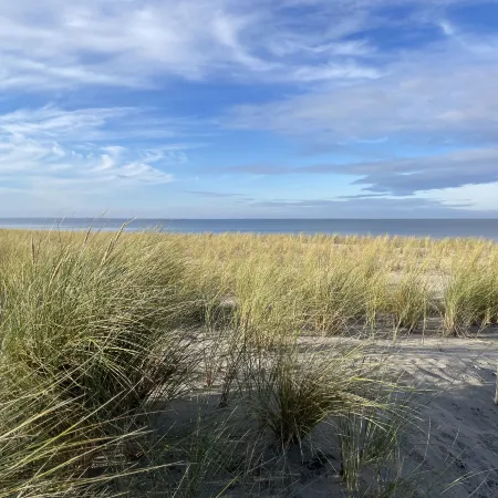 Strandvilla (Lub117)