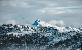 Ferienwohnung mit 3 Schlafzimmern