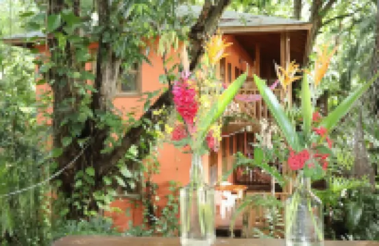 Posada Arco Iris, West End