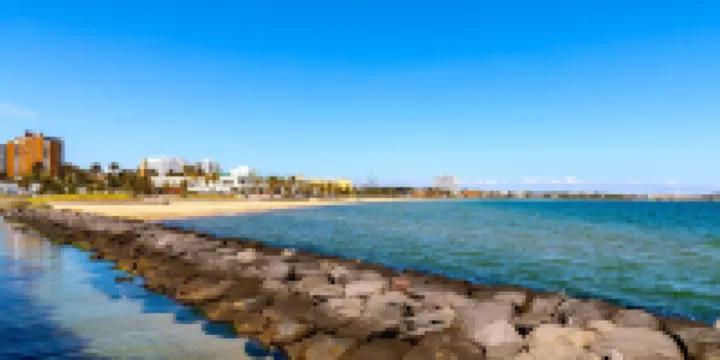 大駱駝風格公寓 - The Marc