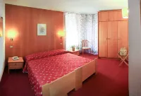Hotel Edelweiss Hotels in 