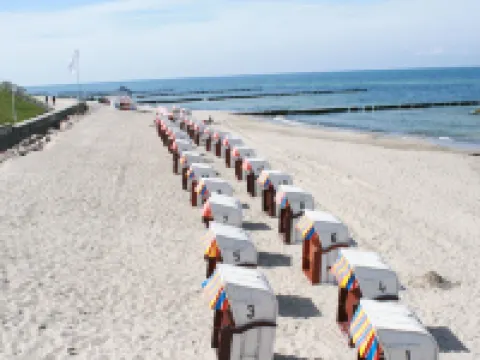 位於佈德內瑞海森林的陽光假日公寓