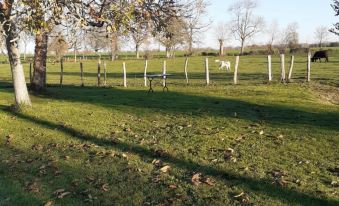 Le Verger (Le Plessis)