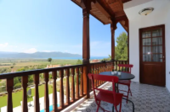 알프 스위트 사프란