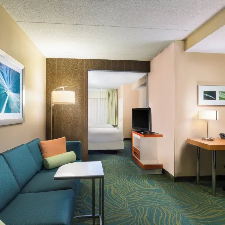 SpringHill Suites Austin South