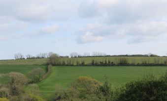 Stunning 3-Bed Cottage Near Totnes South Devon - Housity