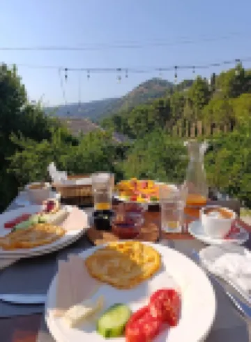 Te Gjyshi (at Grandfather)