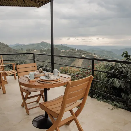 Atardeceres del Cafe