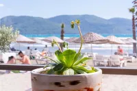 Mosso Boutique Hotel Hotel di Camlikoy