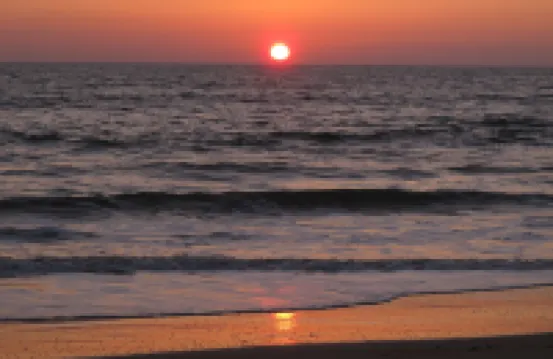 옴보디 리트리트