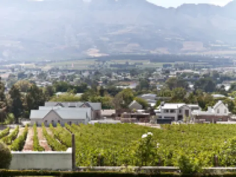 D'Olyfboom Guest House B & B Hotels in Paarl