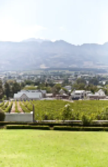 D'Olyfboom Guest House B & B