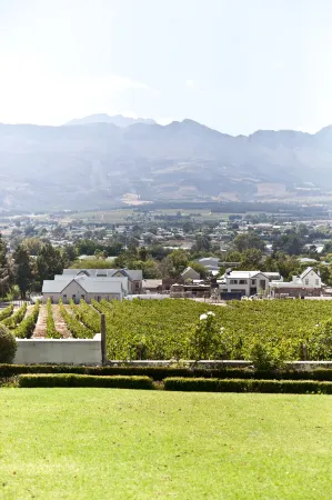 D'Olyfboom Guest House B & B