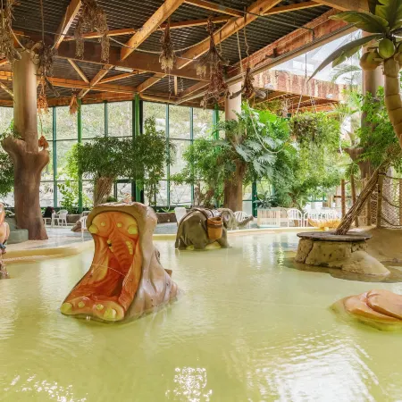 Center Parcs les Bois Francs