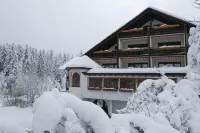Hotel Waldblick Kniebis Hotels in Bad Peterstal-Griesbach