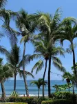 The Backyard Beachfront Hotel Hotels in Playa Hermosa