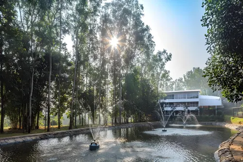Shoonya Farm Retreat - Pool