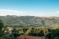 B&B Gli Archi Hotels in Radicofani