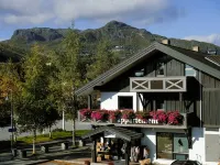 Hemsetunet Apartments Hotels in Hemsedal