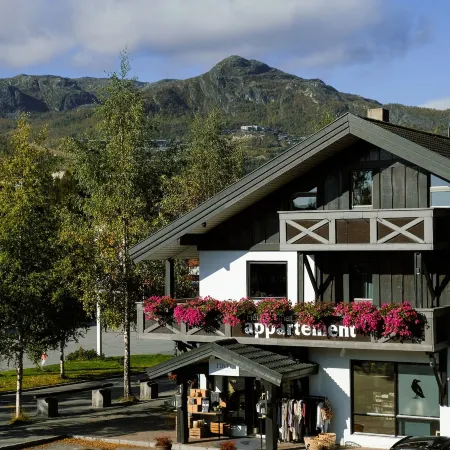 Hemsetunet Apartments
