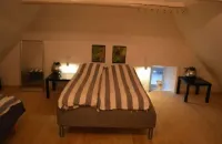 アガーフェルド GL スコール