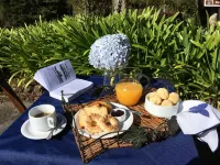 Pousada VillaSerrana - servizio colazione