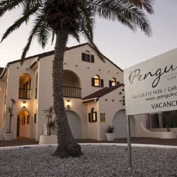 Penguino Guesthouse