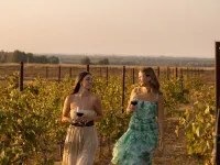 Masseria Malvindi Hotels in Mesagne