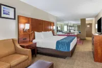 Comfort Inn Escondido San Diego North County فنادق في إسكونديدو