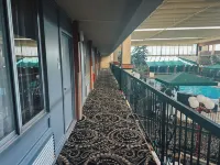Clarion Inn - piscine
