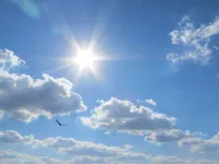 Kissimmee Area Pool Homes by Sunny Ovh Hotels in Loughman