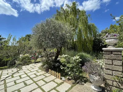 Home Sweet Home Hotels in Gallicano nel Lazio
