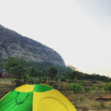 Canary Forest Camping
