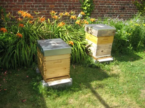 克羅斯布特納爾住宿加早餐旅館 里克酒店