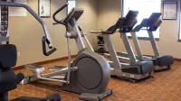 Holiday Inn Express & Suites DETROIT-NOVI by IHG - Træningscentre