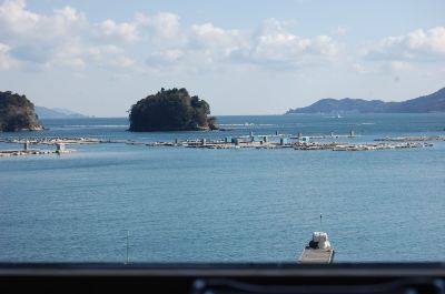 ホテルからの眺望 胡蝶蘭の写真